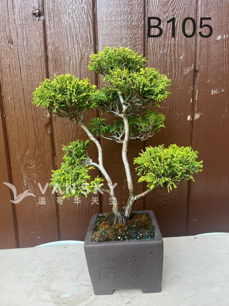 260224235134_B105 24 - 24-06.JPG